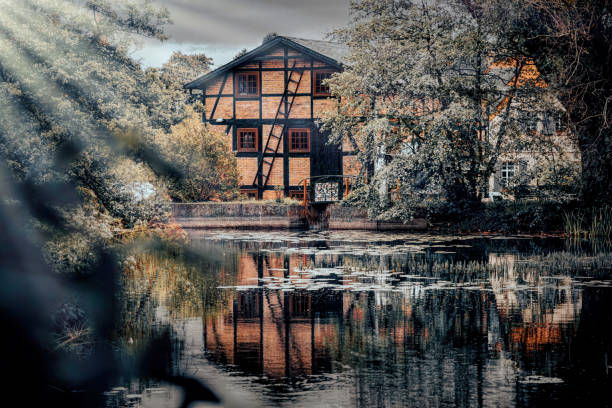 자란 정원에있는 물 공장과 연못 - surrey southeast england england cottage 뉴스 사진 이미지