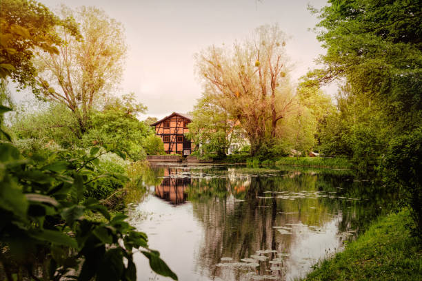 molino de agua y un estanque en un jardín cubierto de maleza - surrey southeast england england cottage fotografías e imágenes de stock