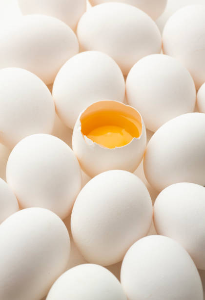 istock White eggs on a white background, one egg is broken, unlike the others. 1405972156