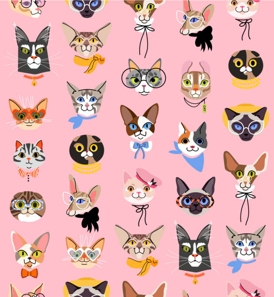 Cute cats head vector seamless pattern. Funny cat characters with glasses, hat and bow. Isolated on pink background Cute cats head vector seamless pattern. Cute cat pet characters with glasses, hat and bow. Isolated on pink background siamese cat stock illustrations