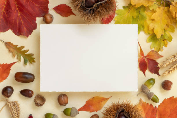 istock Card between autumn leaves and berries on light yellowtable top view, rustic mockup 1405973843