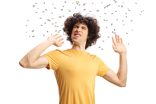 Angry young man surrounded by a swarm of bees isolated on white background