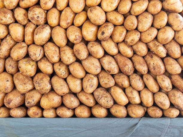 sales presentation, display and product display of potatoes