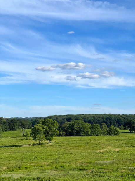 istock Meadow at Valley Forge National Historic Park in Summer 1405982080