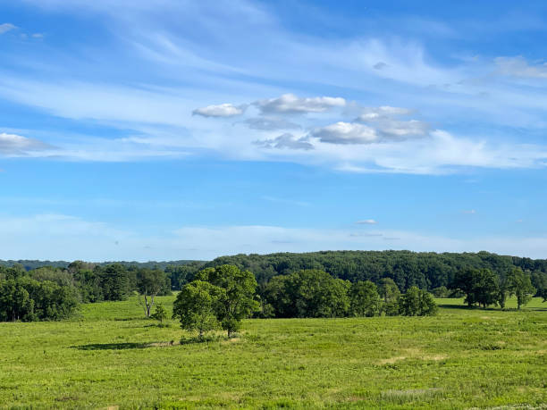 Meadow at Valley Forge National Historic Park in Summer, King of Prussia, Pennsylvania, USA