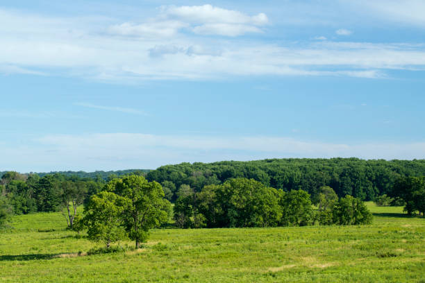 istock Meadow at Valley Forge National Historic Park in Summer 1405982105