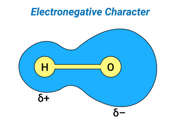 электроотрицательность — это химическое свойство, которое описывает тенденцию атома или функциональной группы притягивать электроны к с� - hybridization stock illustrations
