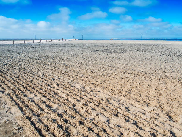 istock Freshly smoothed North Sea beach 1405989495