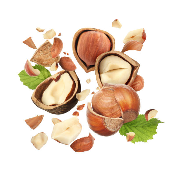 istock Pieces of tasty hazelnuts falling on white background 1405990015