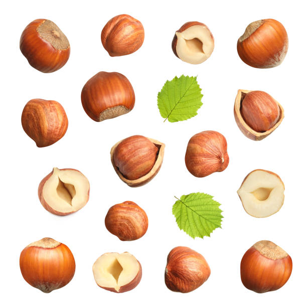 istock Set with tasty hazelnuts on white background 1405990075