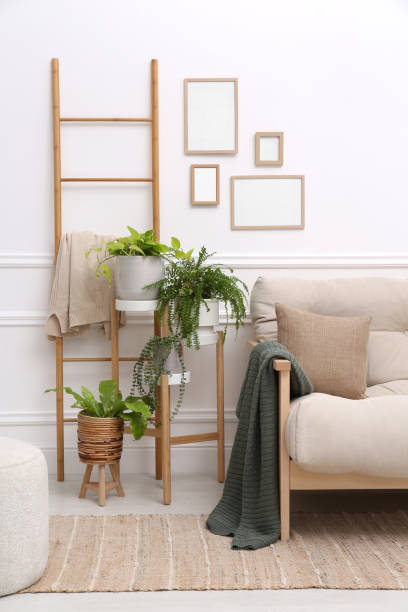 istock Living room interior with comfortable sofa and houseplants 1405990119