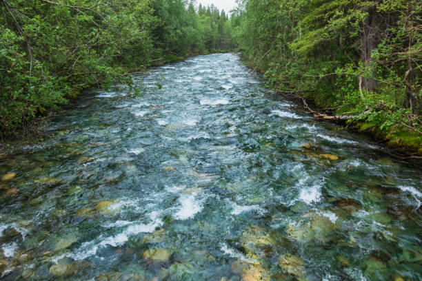 istock Rushing shallow river natural background 1405990456