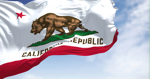 Close-up view of the California flag waving. California is a federated state of the United States located in the South West Coast