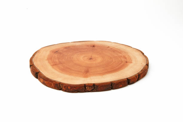 istock Wooden stand for a dish isolated on a white background. Tree trunk cut for product presentation demonstration 1405993635