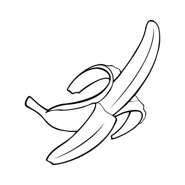 ilustrações, clipart, desenhos animados e ícones de banana madura descascada, ilustração vetorial monocromática - banana peeled banana peel white background