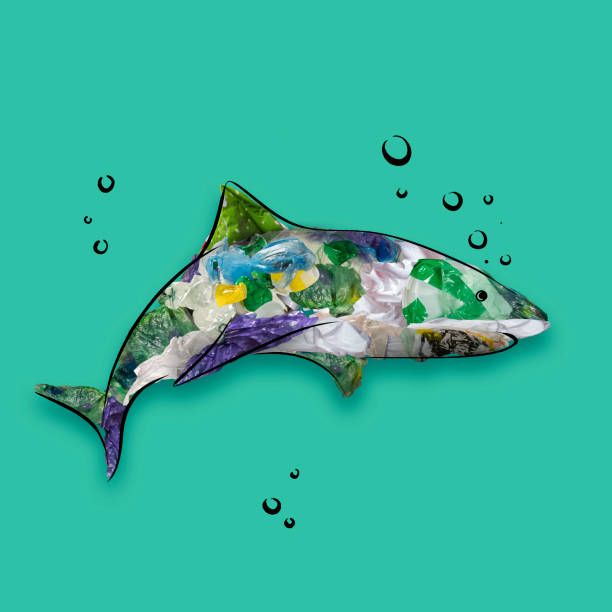 istock Contemporary conceptual art collage with drawn fish shark filled with garbage and plastic waste. Pollution, saving environment, ecology, world social and eco issues 1405995979