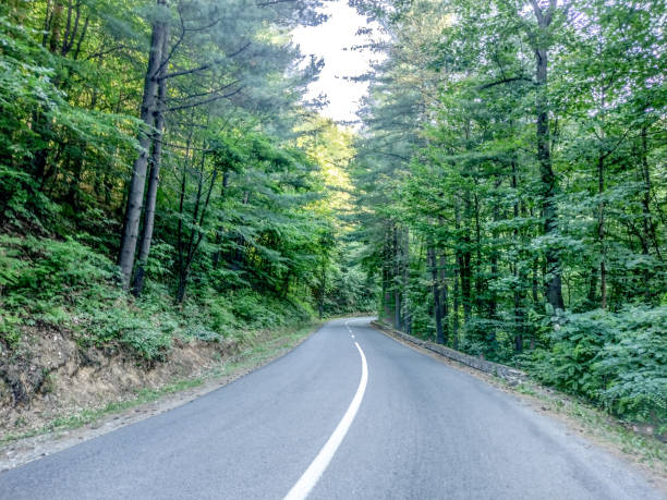 istock Road with asphalt and trees in Maramures county, Romania 1405996210