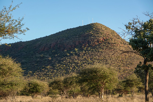 Blue Wildebeest crossing the Mara River during the annual migration in Kenya