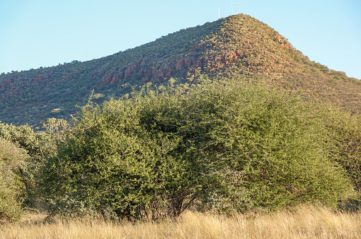 Omboroko Mountains near Otjiwarongo at Otjozondjupa Region, Namibia