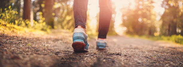 istock Woman's legs hiking in the forest in summer. 1406002602