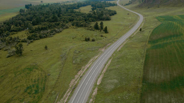 istock Curve asphalt road between green field in Altai 1406006384
