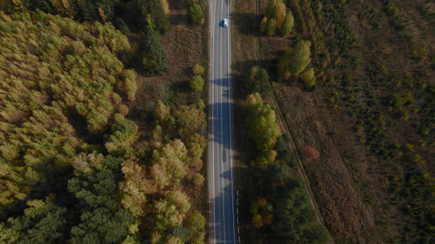istock Road and moving cars between colorful autumn forest 1406007794