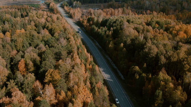 istock Asphalt road with traffic cars between forest in Ural 1406008193