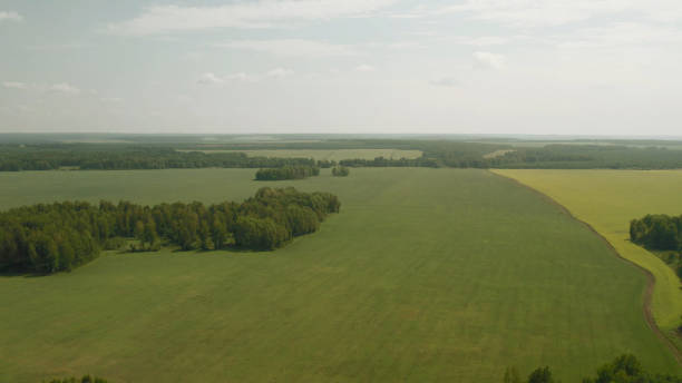 istock Green and yellow rural fields with blue sky in summer time in Ural 1406009712
