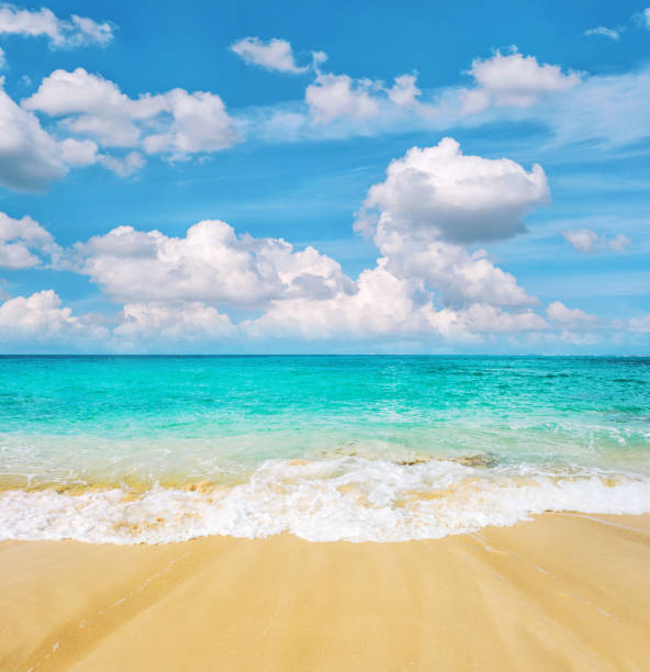 plage de sable turquoise mer ciel bleu nuageux arrière-plan de voyage d’été - photography vertical color image day photos et images de collection