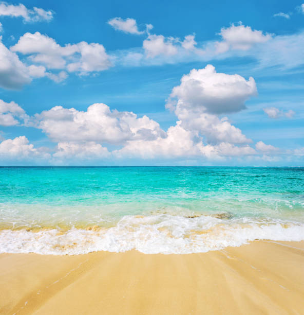 piaszczysta plaża turkusowe morze pochmurne błękitne niebo letnie tło podróży - beach zdjęcia i obrazy z banku zdjęć