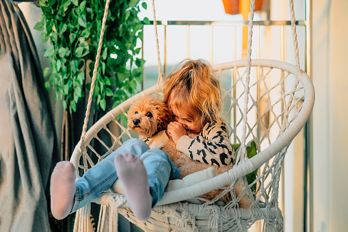 happy little girl, child hugging with a smile her pet, poodle dog at home on the balcony in spring, summer in a cotton-fringed hammock chair at sunset. The animal is like a member of the family.
