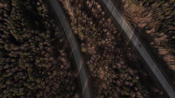istock Curve of highway road between deep forest 1406010959