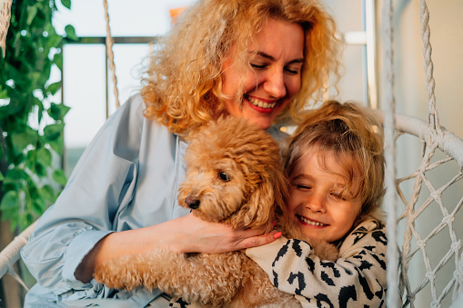 close-up portrait happy mother with daughter at home on the balcony, sitting on a hammock chair, cuddling with a pet: a poodle dog on a warm sunny evening at sunset during the golden hour. High quality photo