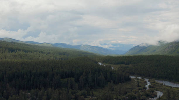 istock Forest and river in valley of Altai 1406011487