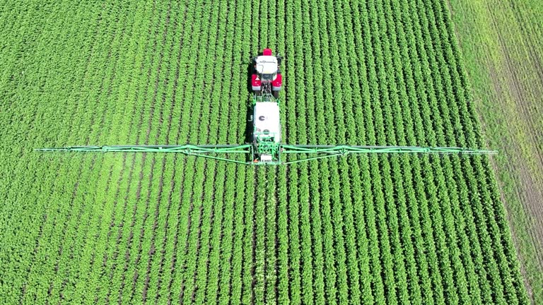 Agricultural crops sprayer in a field