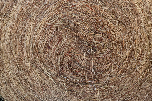 roll of tied and dried hay bales