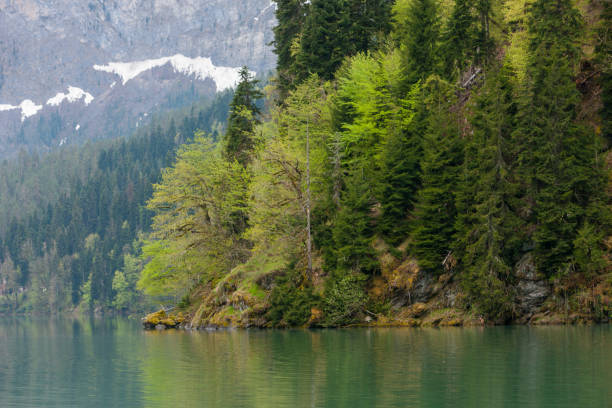 istock Ritsa Abkhazia lake early spring 1406015292