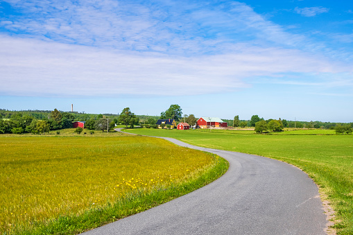 Rural landscape view with a farm and a country road