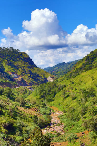 istock mountain landscape in Sri Lanka 1406017142