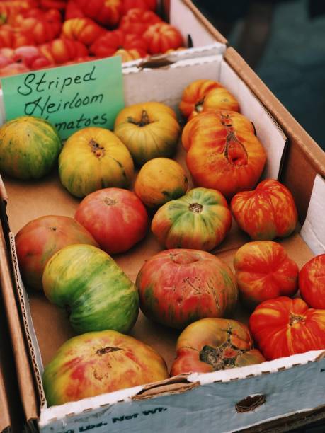 belles tomates laides - heirloom tomato food tomato crate photos et images de collection