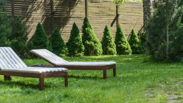 istock Lounge chairs on the backyard in a beautiful garden. Two empty sunbeds on the grass. 1406019985