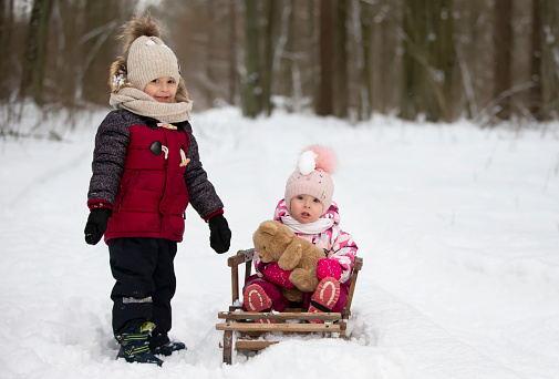 Children ride on a vintage wooden sled against the backdrop of a winter forest. Brother and little sister on a winter walk.