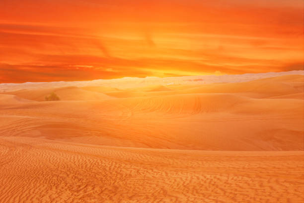 istock Sand desert sunset landscape view, United Arab Emirates. 1406021982