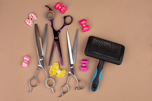 Tool for the groomer on a beige background. Dog grooming accessories. Combs and brushes for animals. View from above