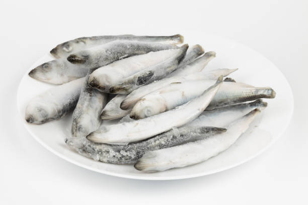 Frozen fish on a plate, herring on a white background.