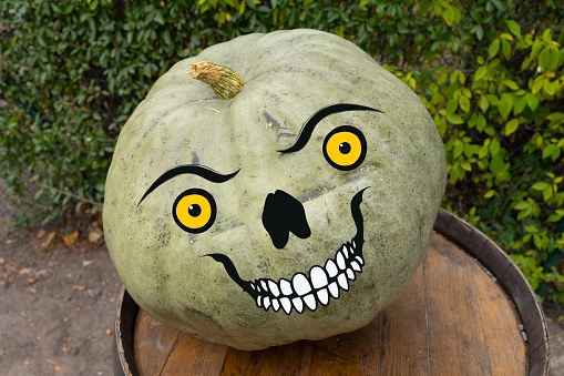 Pumpkin with a face.