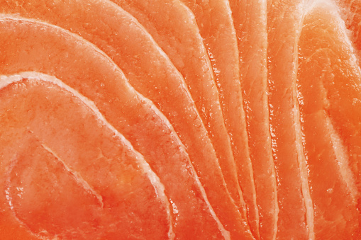 Fresh raw Salmon texture background close-up