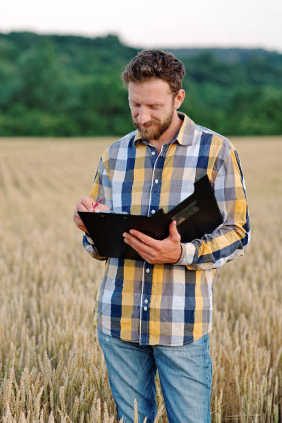 istock Farmer examining wheat crops on field 1406027064