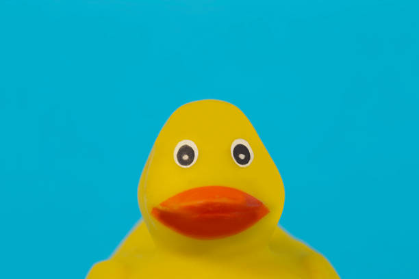 istock Muzzle yellow rubber duck for swimming on a blue background. 1406028091