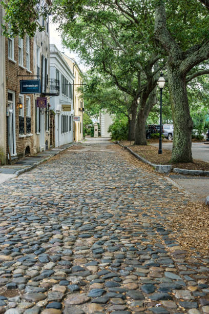 istock Charleston Cobblestone Street 2 1406028560